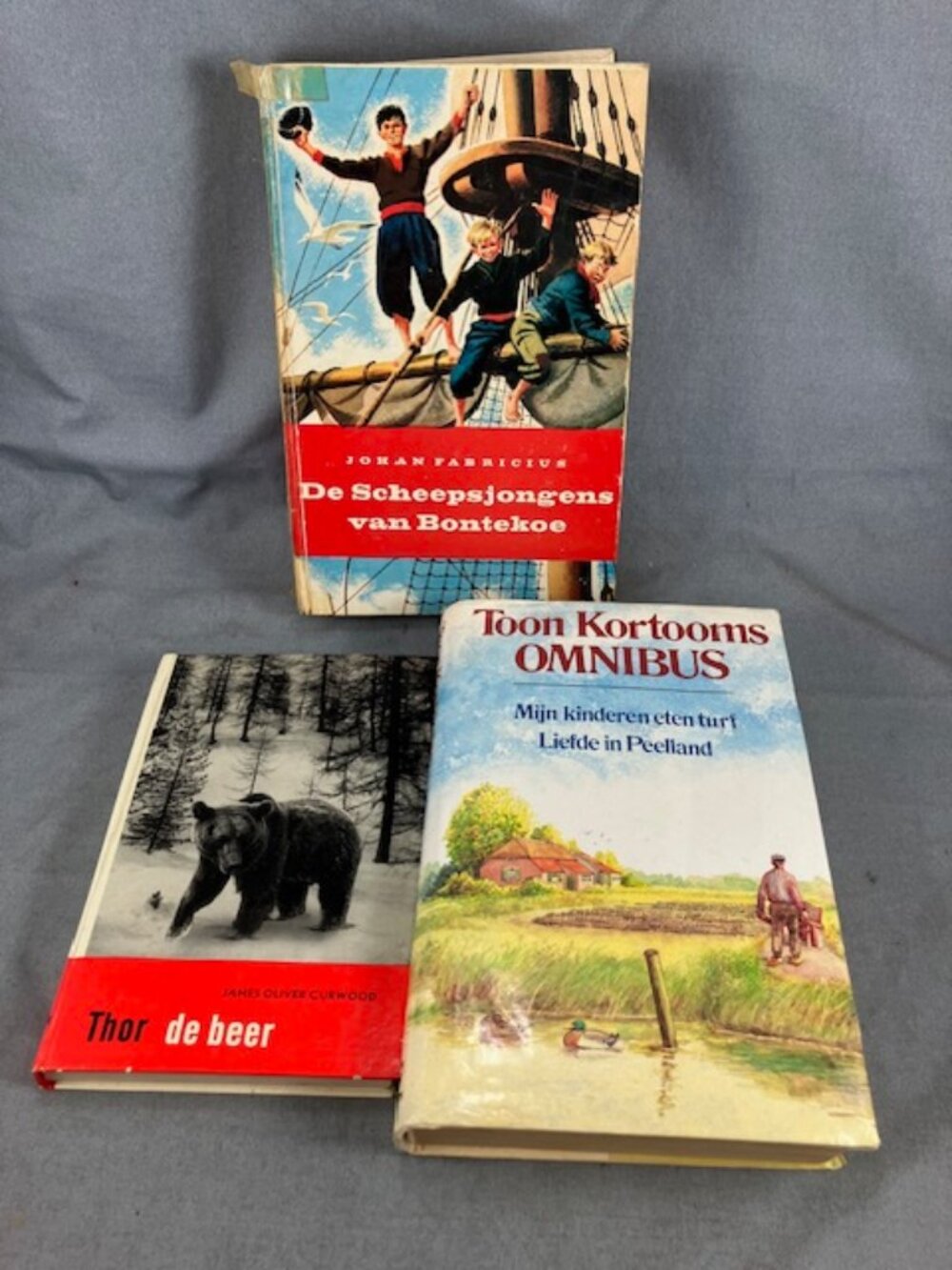 3 Dutch language books for Teens Scheepsjongens Thor de Beer Toon Kortooms